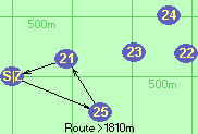 S-25-21-Z